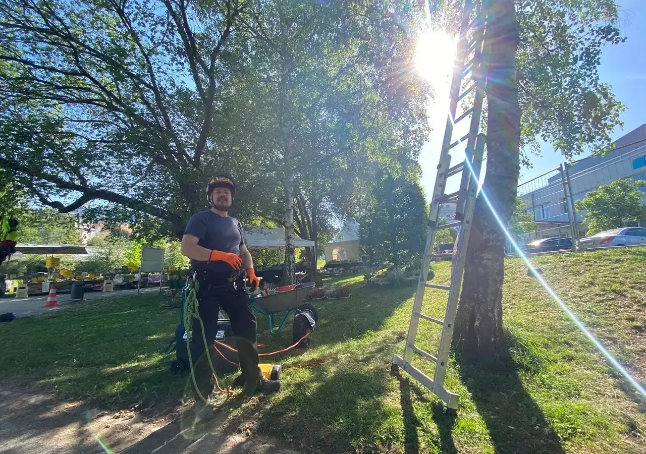 Baumpfleger der Grüneffekt GmbH beim Einsatz im Park