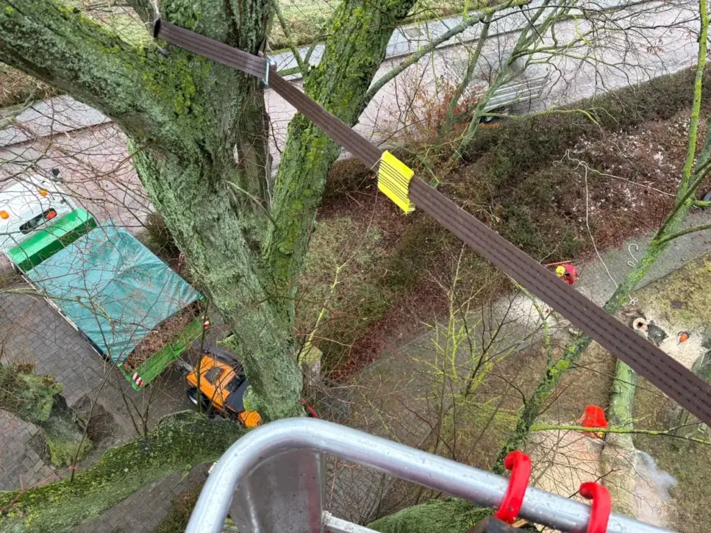 Blick aus der Hubarbeitsbühne auf die Einsatzstelle