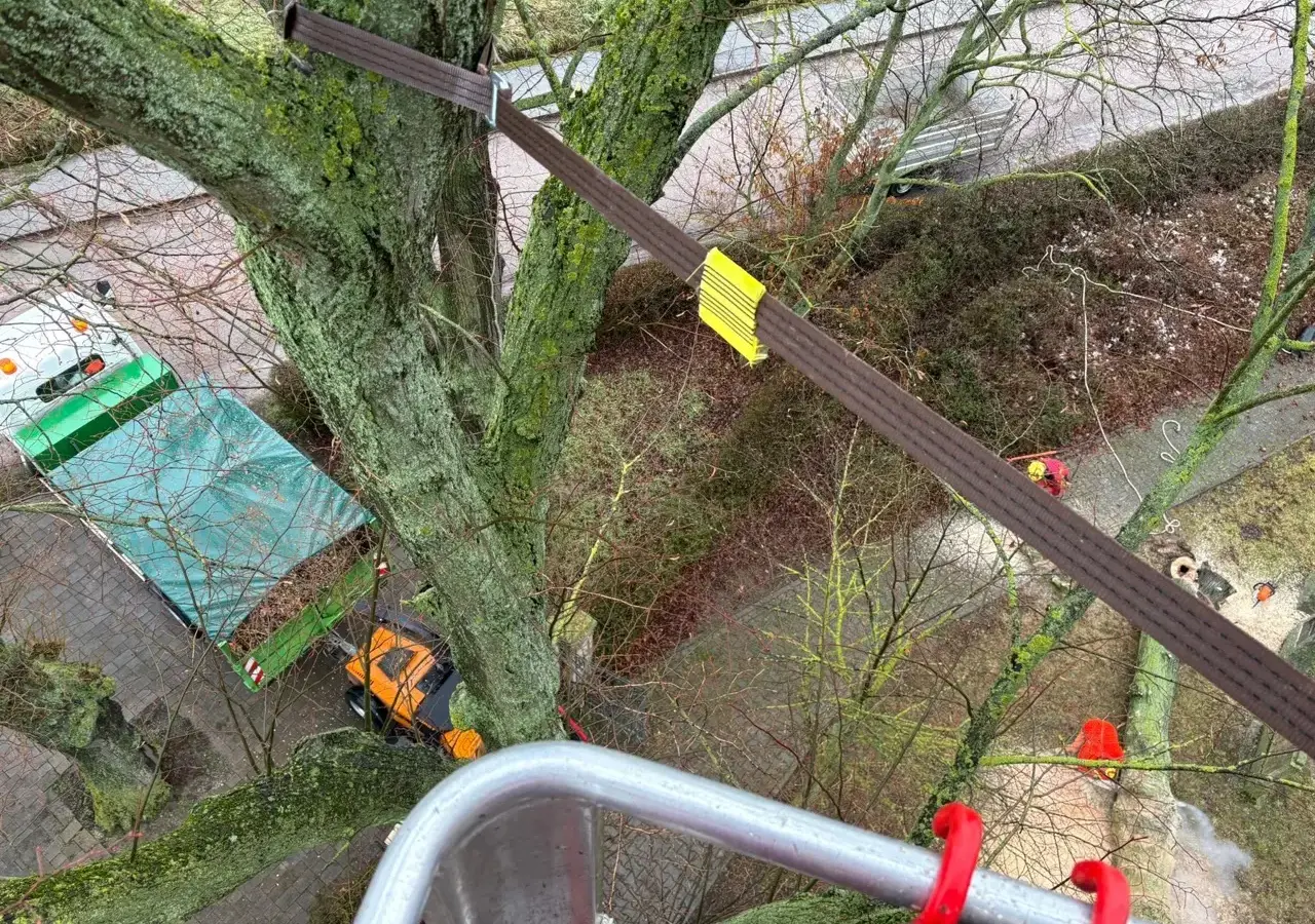Blick aus der Hubarbeitsbühne auf die Einsatzstelle