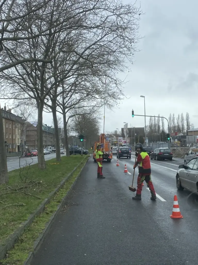 Baumpflege an Straßenbäumen mit Verkehrssicherung