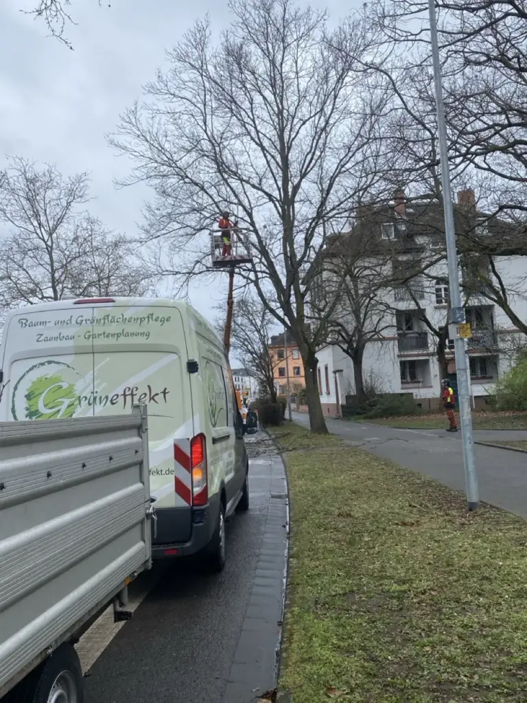 Fahrzeuge der Grüneffekt GmbH mit Anhänger und Hubarbeitsbühne im Einsatz