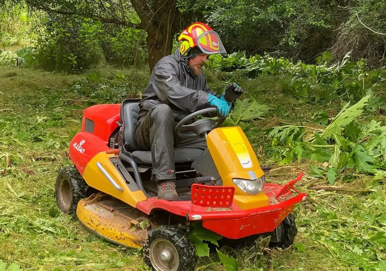 Mulcharbeiten mit dem Aufsitzmäher auf verwilderter Grünfläche