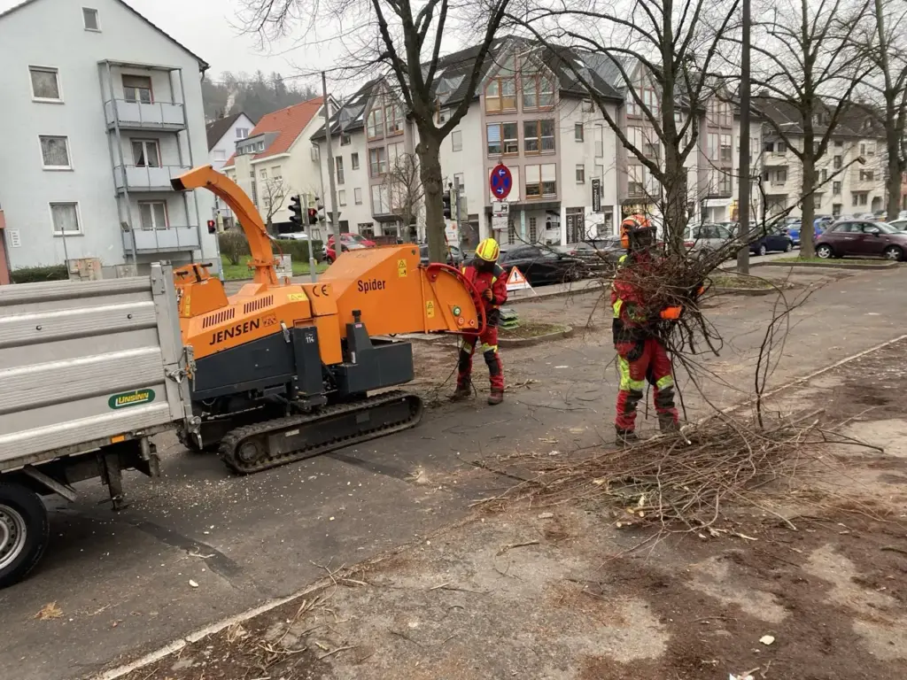 Astmaterial wird mit dem Häcksler zerkleinert