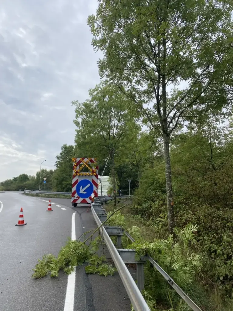 Pflege des Straßenbegleitgrüns mit Verkehrssicherung