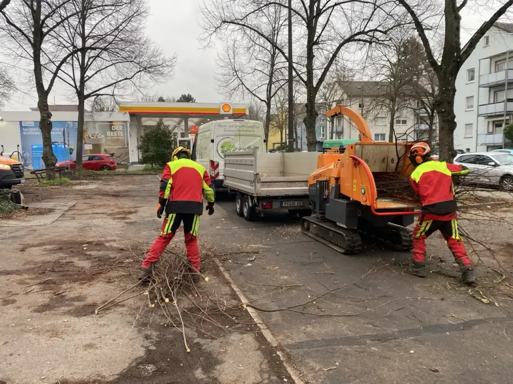 Das Grüneffekt-Team beim Häckseln von Astmaterial