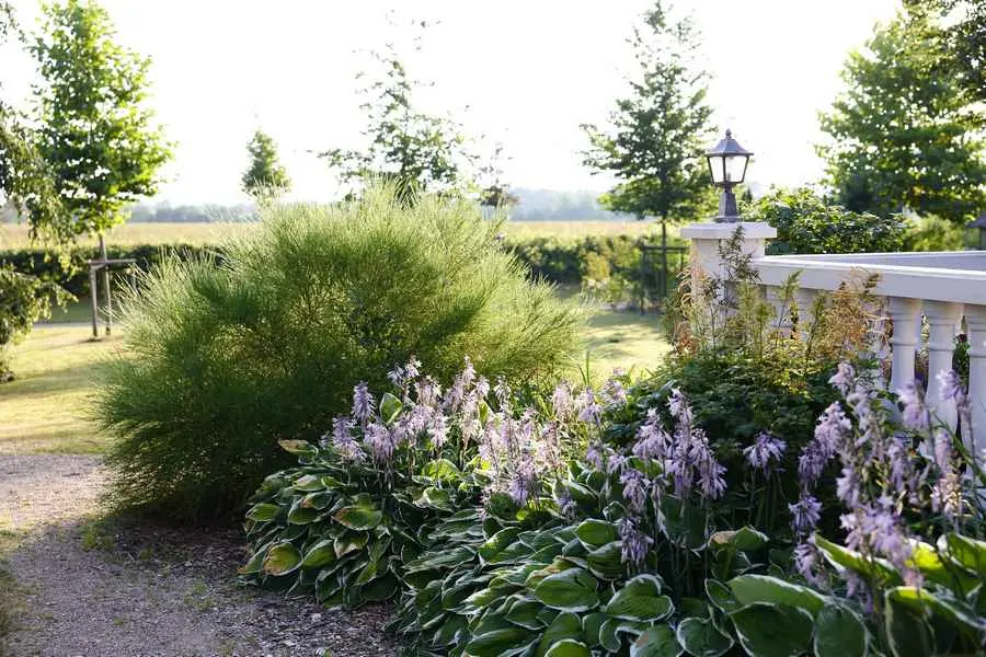 Frisch angelegte Gartenbepflanzung